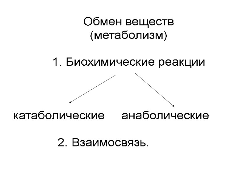 Обмен веществ (метаболизм)  1. Биохимические реакции      катаболические 